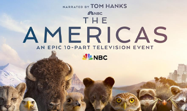 Casa 52 Senza titolo-1